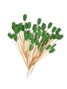 Bambu Kürdan Süs Kaktüs 50 li